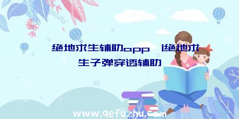 「绝地求生辅助app」|绝地求生子弹穿透辅助